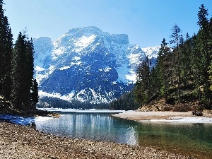 forest, River, Mountains