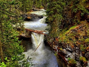 River, waterfall, forest, rocks