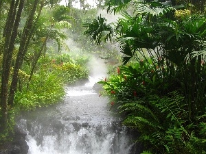 green, River, jungle