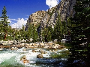 River, Stones, Mountains, forest