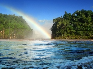 River, viewes, Great Rainbows, trees
