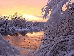 River, Bush, snow, trees, rime, viewes