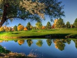 River, viewes, Willow, trees