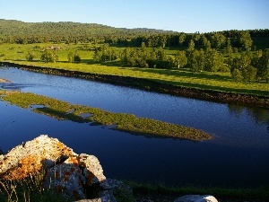 woods, River, medows