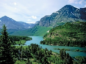 woods, River, Mountains