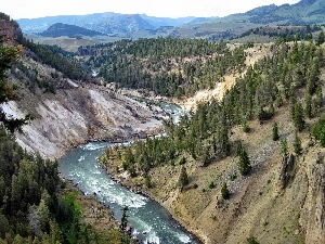 woods, River, Mountains