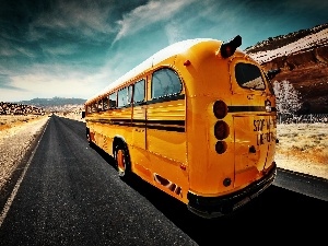 bus, road, Yellow