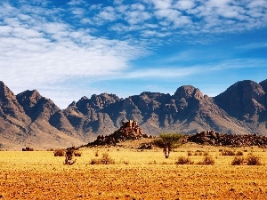 clouds, Rocks. Desert