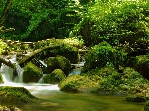 mosses, Przebijaj?ce, ligh, flash, sun, River, forest, luminosity, rocks