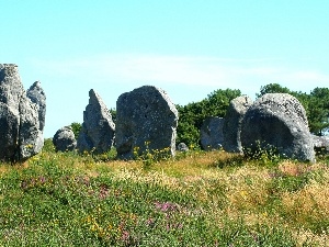 Meadow, rocks, summer