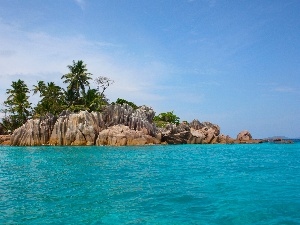 rocks, Island, sea, Palms, Waves