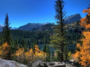 Spruces, rocks, lake