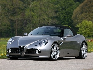 Alfa Romeo 8c Spider, viewes, Way, trees