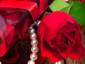 rose, Pearl, red hot