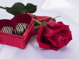 rose, Candies, Valentine