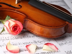 rose, Tunes, violin, Cards