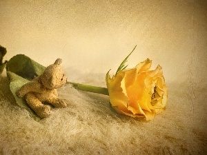 rose, teddy bear, Yellow Honda