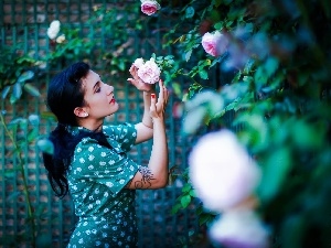 brunette, roses, Women