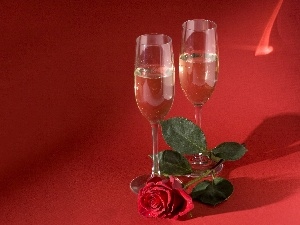 roses, Champagne, Valentine