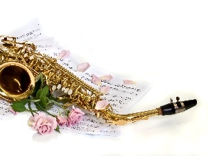 Tunes, roses, saxophone