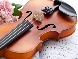 Tunes, roses, violin