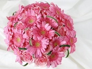 rouge, Gerbers, bouquet, pink