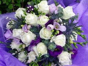 white, rouge, bouquet