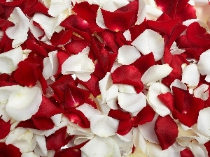 rouge, flakes, White, Red
