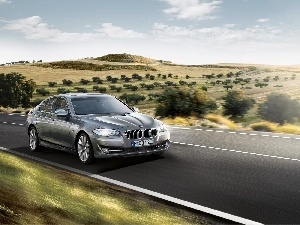 Way, route, BMW 5 Series F10, View