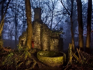 ruin, Fog, forest, building, Night