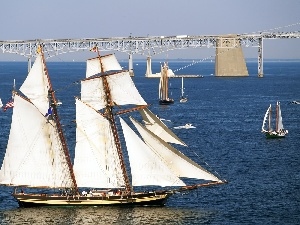 regatta, sailing, sea