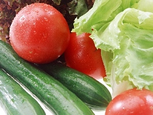 salads, leaves, tomatoes, cucumbers