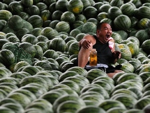 market, salesman, watermelons