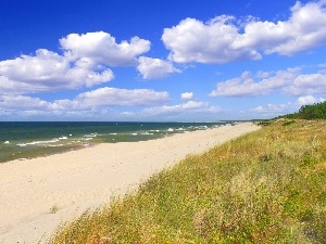 Sand, Beaches, sea, grass, Waves