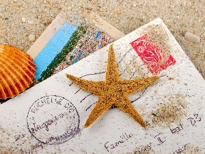 Sand, starfish, list, Shells