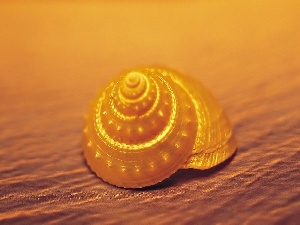 Sand, shell