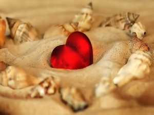 Shells, Sand, Heart