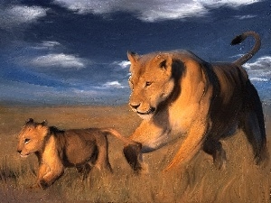 lions, savanna, stretching