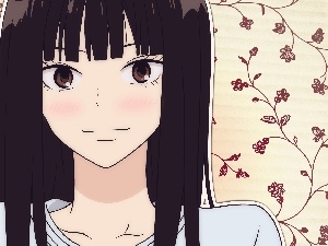 Sawako, Kimi ni Todoke