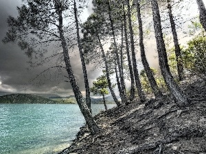 scarp, pine, lake, clouds