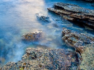 Coast, Scotland, Rocky