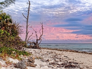 Beaches, scrub, sea