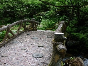 bridge, scrub, wooden