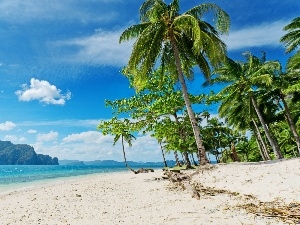 blue, sea, Beaches