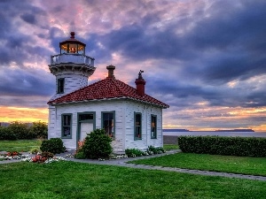 sea, Flowers, Lighthouse, clouds, maritime