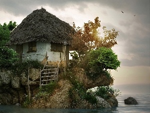 sea, The islet, Cottage, an
