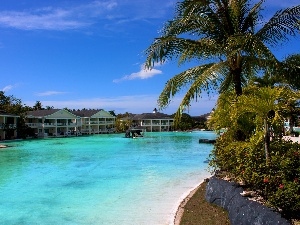 sea, Palms, Hotel hall