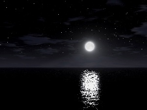 sea, full, moon, ##