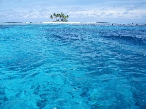 Palms, sea, Island