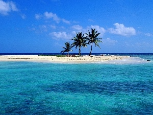 Palms, sea, Islet